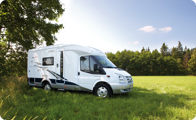 Camperinhetgras