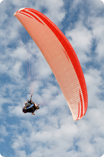 Paraglider